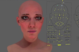 be 3d character rig,3d facial rig, blender face plane,52 shape key, rokoko arkit