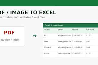 do excel data entry, formatting and business spreadsheets