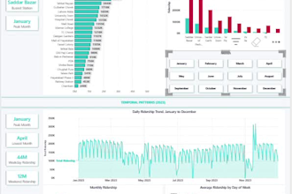 design a professional e commerce sales dashboard in power bi