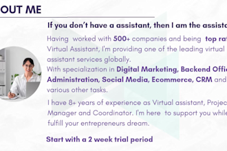 be your executive virtual assistant and project manager