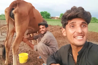 do african happy birthday video or happy birthday video