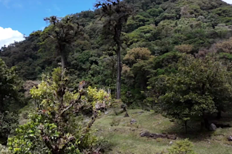 record raw drone footage in panama for any project
