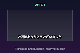 translate and burn japanese subtitles into your english or spanish video