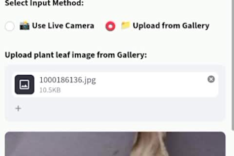 train an image classification model