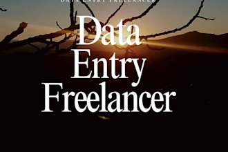 do data entry, excel, HTML, CSS and javascript