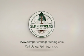 create custom logo animation and motion graphics