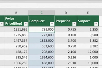clean excel data, convert pdf to excel and format spreadsheets
