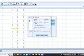 do data analysis interpretation in spss and excel