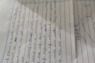 write hand writing and online assignments for the clients