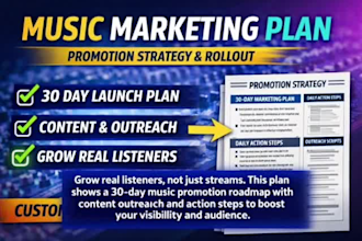 create a music promotion strategy and marketing plan promotion