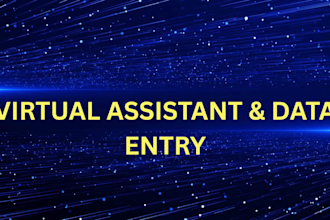 be your expert excel pro typist and data entry specialist