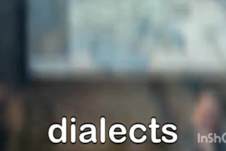 provide professional multilingual voiceover for any project