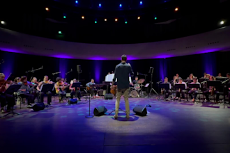professionally arrange and orchestrate your music
