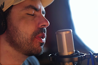 do professional video color grading and color correction