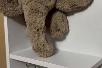 create engaging ugc product videos for your brand