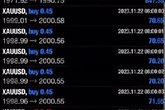create forex trading bot, trading bot, forex bot, forex trading