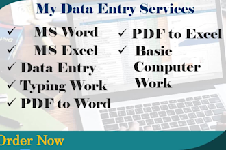 do acccurate typing and data entry from PDF or image