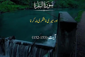 edit viral islamic tiktok reels short with english urdu text