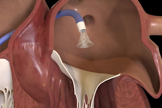 do 3d medical animation anatomy scientific 3d cellular and molecular animation