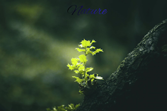 do clean and asthetic video editing