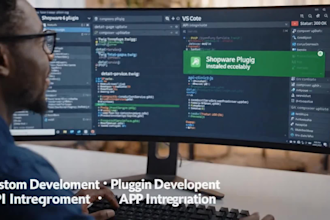 build shopware 6 plugins, b2b and API integration