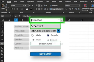 automated excel data entry form and system