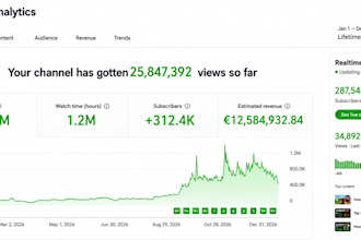 ich bin dein SEO stratege fur youtube videos und dein manager fur das kanalwachs