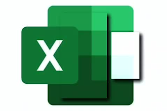 do excel, word, data entry and document formatting
