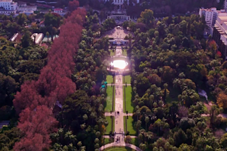 create cinematic drone videos for real estate and tourism