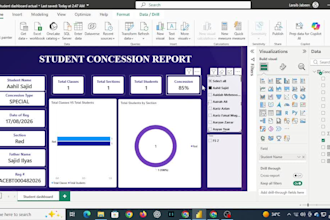 build professional power bi dashboards and reports