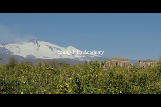 prepare your film for distribution filmhub amazon prime video and submission