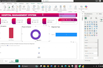 create professional power bi dashboard for business and healthcare data