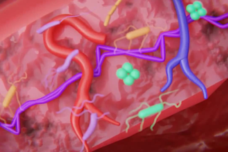 create professional 3d surgical animation and medical videos