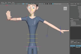 create professional 3d characters rigging for you