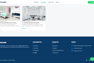 design a modern and custom blog website
