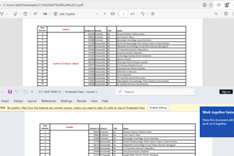 recreate PDF into professional word document