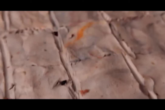 create professional stop motion claymation lyrics video