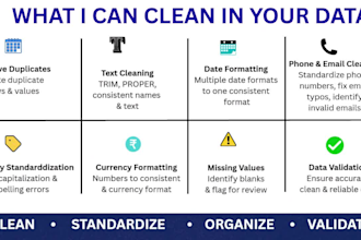 clean, format and organize your excel data