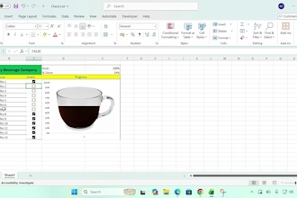design professional and interactive excel dashboards and reports