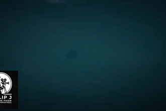 fivem loading screen, cinematic fivem trailer, video game intro,fivem logo,gta