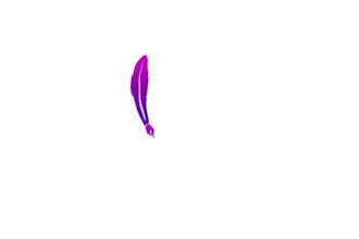 animación de logo pro