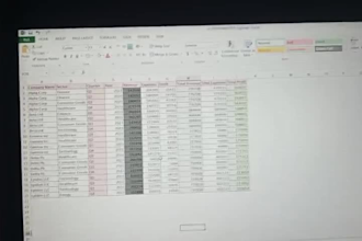 data entry on excel sheet or PDF to excel
