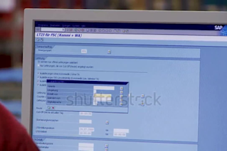 do fast and accurate data entry, exel, copy paste