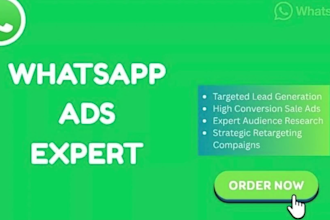 do instagram ads expert