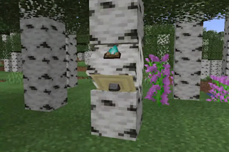 develop a custom minecraft mod for you