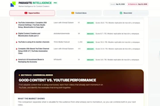 assess youtube market for business opportunities