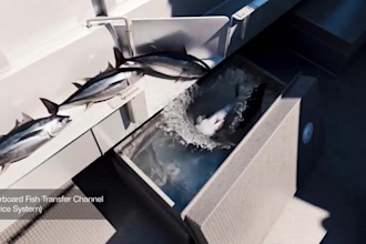 design realistic boat, yacht, and ship animation with cinematic 3d visuals