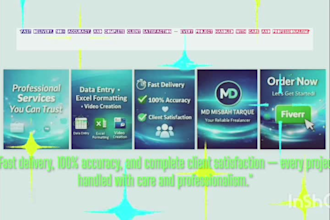 do fast and accurate data entry and excel formatting