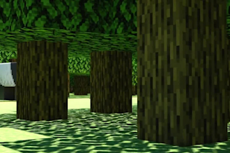 create amazing minecraft builds, survival gameplay, and custom content