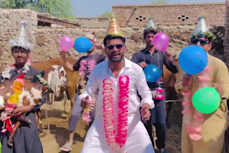 wish african happy birthday video or happy birthday video